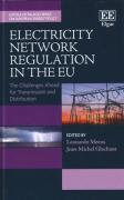 Cover of Electricity Network Regulation in the EU: The Challenges Ahead&#8206; for Transmission and Distribution