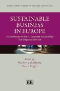 Cover of Sustainable Business in Europe: A Commentary on the EU Corporate Sustainability Due Diligence Directive