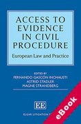 Cover of Access to Evidence in Civil Procedure: European Law and Practice (eBook)