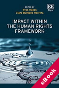 Cover of Impact within the Human Rights Framework (eBook)