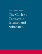 Cover of The Guide to Damages in International Arbitration