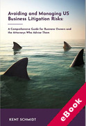 Cover of Avoiding &#38; Managing US Business Litigation Risks: A Comprehensive Guide for Business Owners and the Attorneys Who Advise Them (eBook)