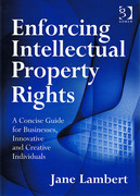 Cover of Enforcing Intellectual Property Rights: A Concise Guide for Businesses, Innovative and Creative Individuals