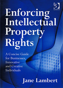 Cover of Enforcing Intellectual Property Rights: A Concise Guide for Businesses, Innovative and Creative Individuals (eBook)