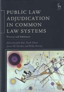 Cover of Public Law Adjudication in Common Law Systems: Process and Substance