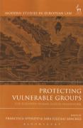 Cover of Protecting Vulnerable Groups: The European Human Rights Framework
