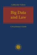 Cover of Big Data and Law: A Practitioner's Guide
