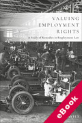 Cover of Valuing Employment Rights: A Study of Remedies in Employment Law (eBook)