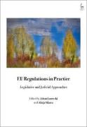 Cover of EU Regulations in Practice: Legislative and Judicial Approaches