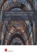 Cover of The European Convention on Human Rights as an Instrument of Tort Law