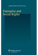 Cover of Enterprise and Social Rights