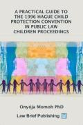 Cover of A Practical Guide to the 1996 Hague Child Protection Convention in Public Law Children Proceedings