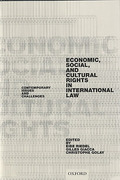 Cover of Economic, Social, and Cultural Rights in International Law: Contemporary Issues and Challenges