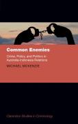 Cover of Common Enemies: Crime, Policy, and Politics in Australia-Indonesia Relations