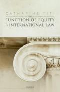 Cover of The Function of Equity in International Law