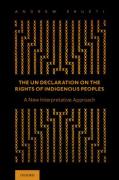 Cover of The UN Declaration on the Rights of Indigenous Peoples: A New Interpretative Approach
