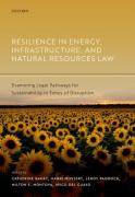 Cover of Resilience in Energy, Infrastructure, and Natural Resources Law: Examining Legal Pathways for Sustainability in Times of Disruption