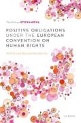 Cover of Positive Obligations under the European Convention on Human Rights: Within and Beyond Boundaries