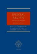 Cover of Judicial Review: Principles and Procedure