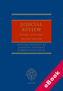 Cover of Judicial Review: Principles and Procedure (eBook)