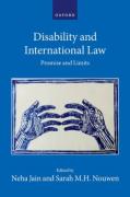 Cover of Disability and International Law: Promise and Limits