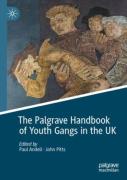 Cover of The Palgrave Handbook of Youth Gangs in the UK