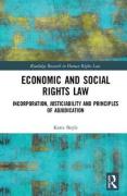 Cover of Economic and Social Rights Law: Incorporation, Justiciability and Principles of Adjudication