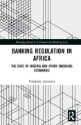 Cover of Banking Regulation in Africa: The Case of Nigeria and Other Emerging Economies