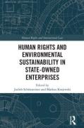 Cover of Human Rights and Environmental Sustainability in State-Owned Enterprises