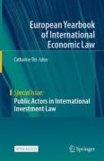 Cover of Public Actors in International Investment Law