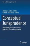 Cover of Conceptual Jurisprudence : Methodological Issues, Classical Questions and New Approaches