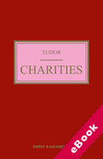 Cover of Tudor on Charities (eBook)