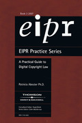 Cover of A Practical Guide to Digital Copyright