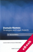 Cover of Domain Names: Strategies and Legal Aspects (eBook)