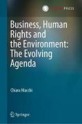 Cover of Business, Human Rights and the Environment: The Evolving Agenda