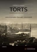 Cover of Torts: Commentary and Materials