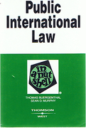 Cover of Public International Law in a Nutshell