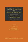 Cover of Judicial Cooperation in Commercial Litigation (The British Cross-Border Financial Centre World)